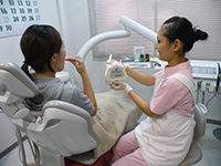 歯医者がどうしても怖い方、嘔吐反射が強く歯科治療が受けられない方へ画像